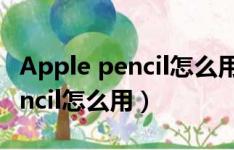 Apple pencil怎么用Apple care（apple pencil怎么用）